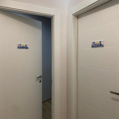 Leila's *